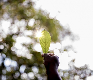 por-que-seu-negocio-deve-investir-em-reciclagem